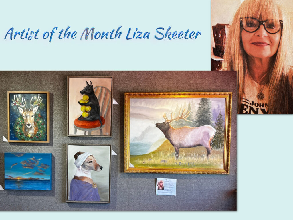 AOM Liza Skeeter